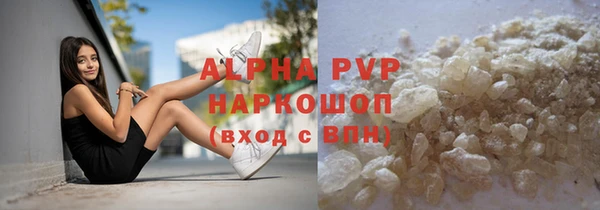 PSILOCYBIN Михайлов