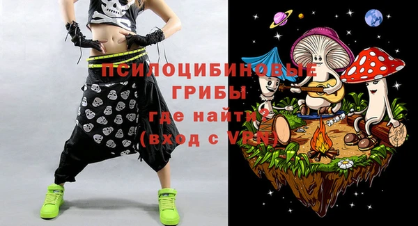 PSILOCYBIN Михайлов