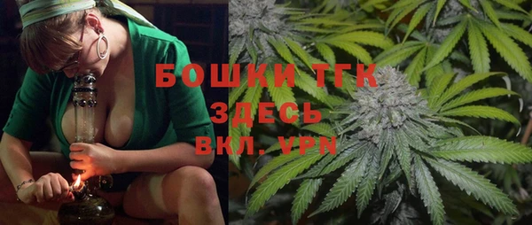 PSILOCYBIN Михайлов