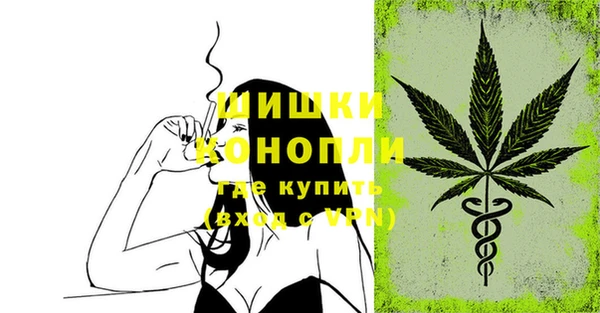 PSILOCYBIN Михайлов
