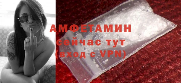 прущие грибы Гусев