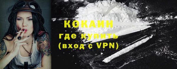 PSILOCYBIN Михайлов