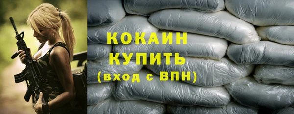 PSILOCYBIN Михайлов