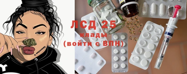 PSILOCYBIN Михайлов