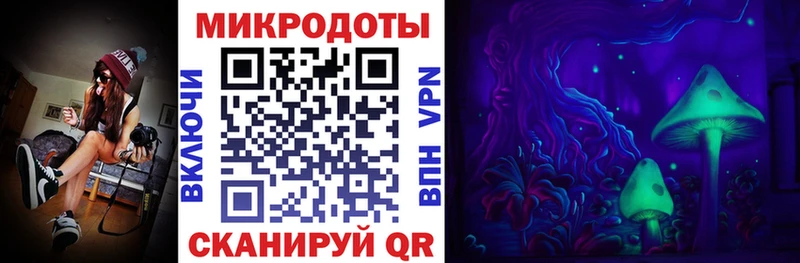Псилоцибиновые грибы Psilocybine cubensis  даркнет сайт  Павловск 